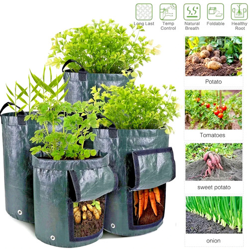 Gallon potato grow bags - potato,