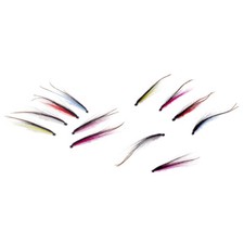 12Pcs Fly Skinny Sunray Shadow