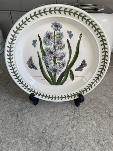 Hyacinthus orientalis eastern - hyacinthus,