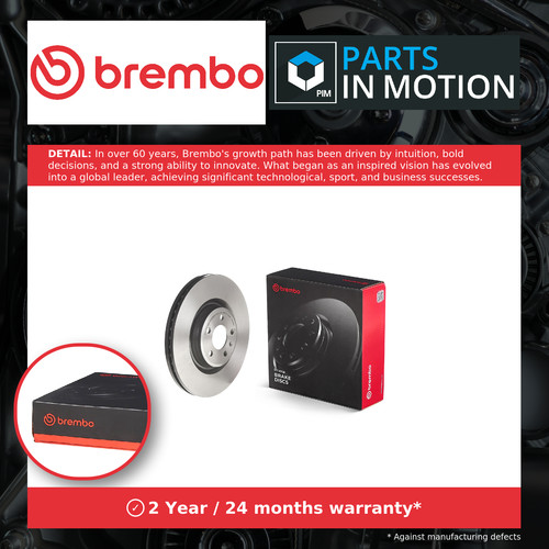 Brake discs pair - 2x,
