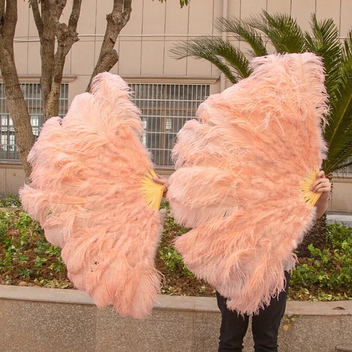 Large real ostrich - ostrich, feather