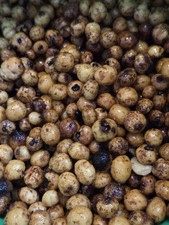 Prepared Tiger Nuts, Particle