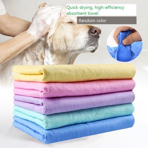 Rapid water absorption pet - water,