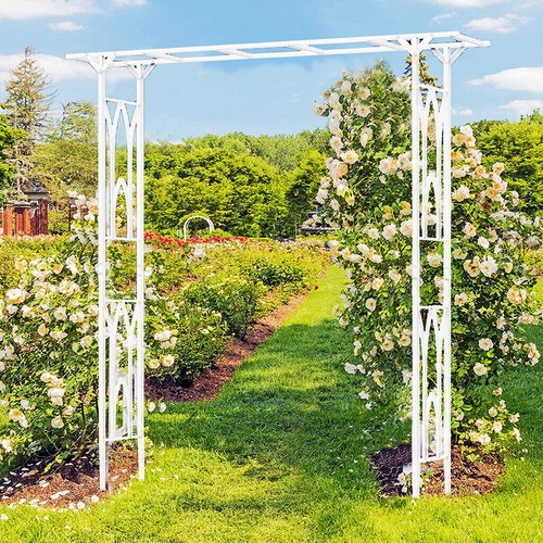 Large tall garden - tall,