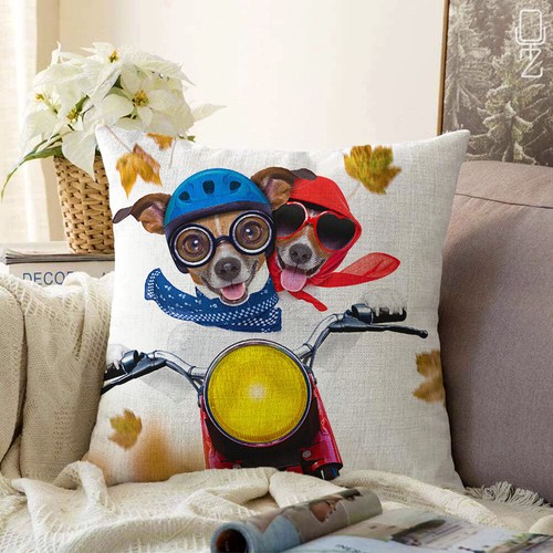 Crazy dogs with - with, motorcycle