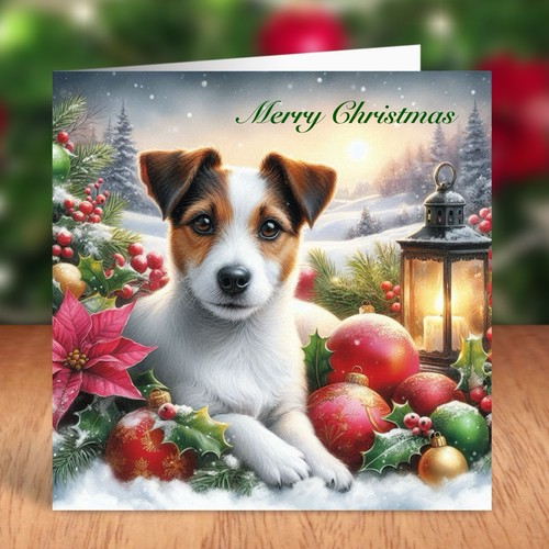 Jack russell terrier dog - russell,