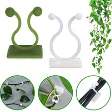 50x Plant Climbing Wall Vines