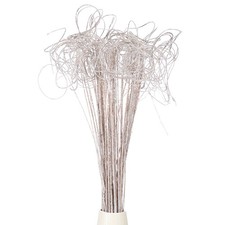 60 Pcs Glitter Dried Curly