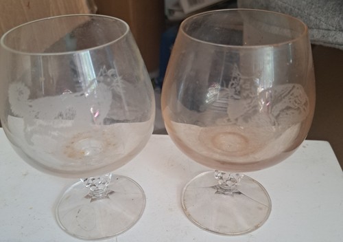 Two brandy glasses with - two,