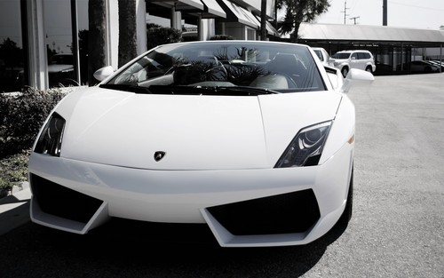 Car lamborghini gallardo white - car,