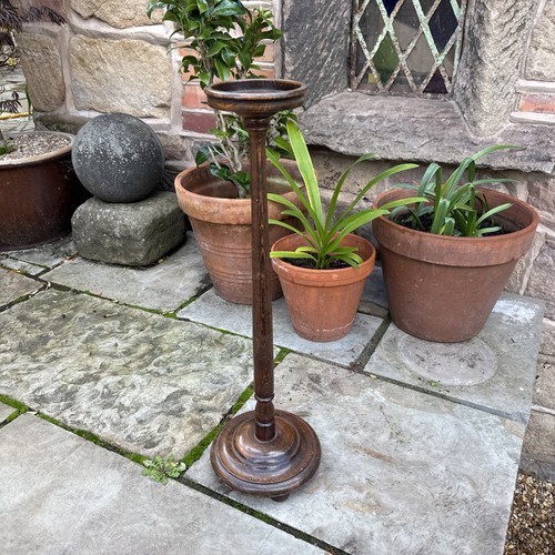Vintage mid century plant - vintage,