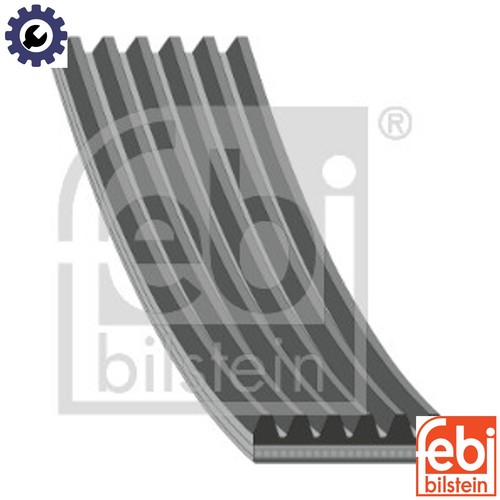 Vribbed belt 39786 for - vribbed,