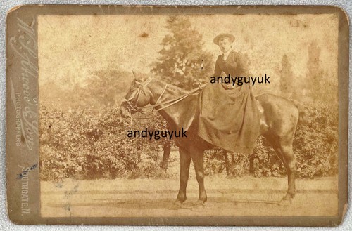 Cabinet card lady riding horse - lady,
