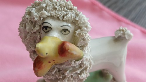 Antique staffordshire poodles - staffordshire,