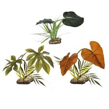 Komodo Reptile Canopy Vivarium Plant Woodland Rainforest & Jungle Accessory NEW