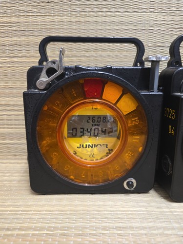 Junior racing pigeon clock - racing,