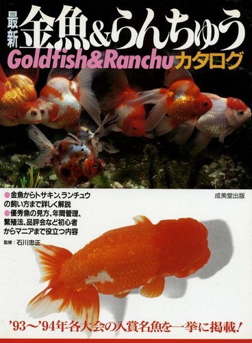 Japanese goldfish kingyo - japanese,