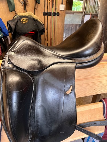 Bargain equine emporio - bargain!,