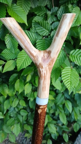 Hazel thumbstick walking stick - hazel,
