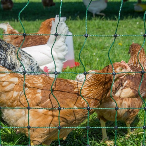 Electric poultry netting - poultry, 50m