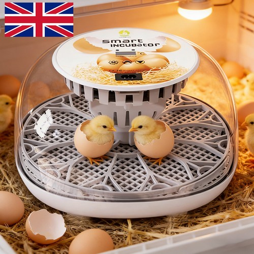 Incubators for hatching - incubators,