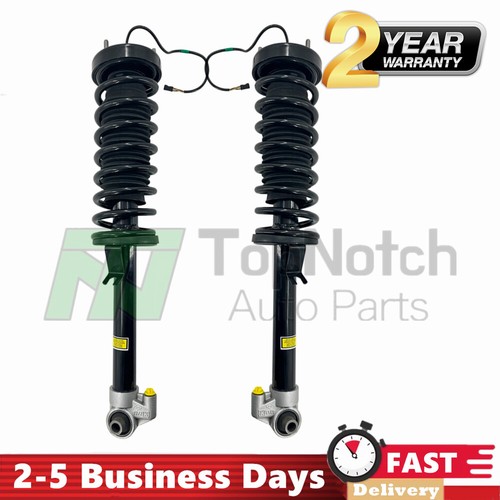 Rear shock struts - struts, spring