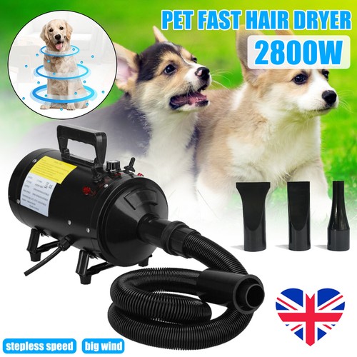 Dog cat pet - dog,