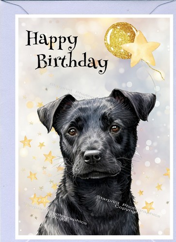 Patterdale terrier dog - patterdale, (4"x