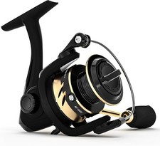 Ashconfish Spinning Fishing