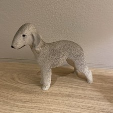 Grey Bedlington Terrier Dog