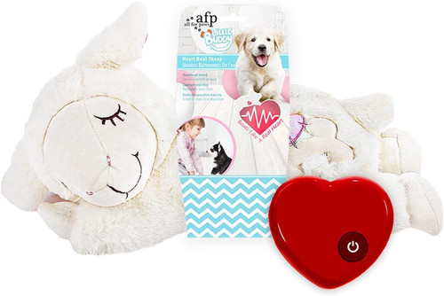 Little buddy heart beat - buddy, sheep