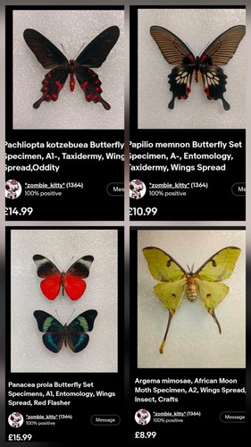 Custom listing for - custom, veronika