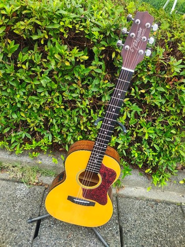 Takamine yamaha cpx - yamaha,