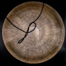 50 cm inches Extra large Tiger