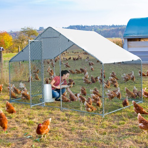 Metal chicken run - chicken, cage