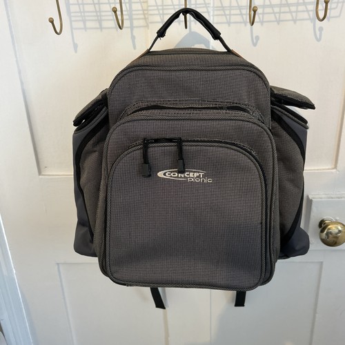 Concept picnic backpack for - picnic,