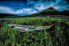 Abandoned in an Alaskan Meadow