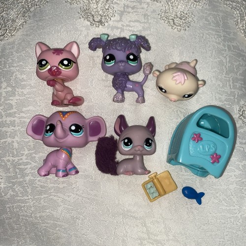 Hasbro lps littlest pet - hasbro, shop
