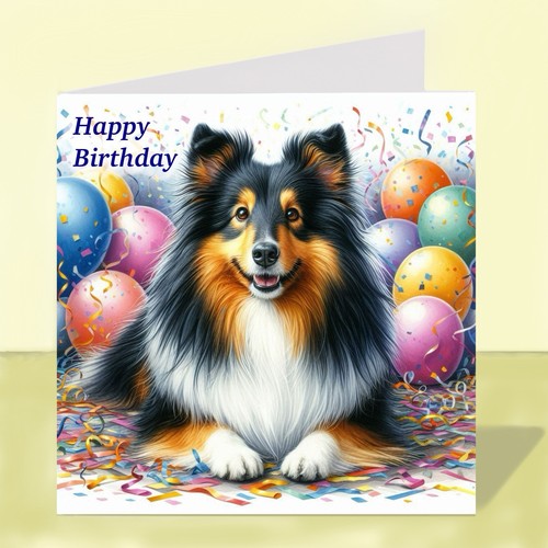 Shetland sheepdog sheltie - shetland,