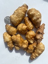 8oz  Tennessee Organic