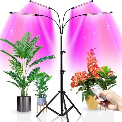 Heads led grow - grow, light