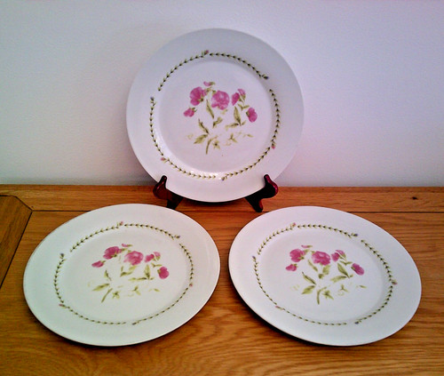 Trade winds tableware dinner - winds,