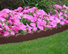 Garden Gear Curve Border