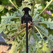 Stainless Steel Hand Weeder