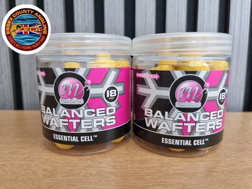 Mainline baits essential - 2, x
