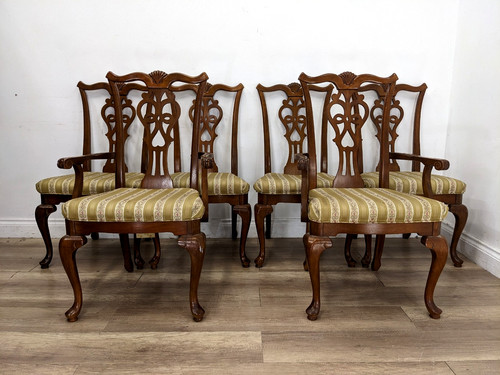 Dining chairs chippendale - dining,