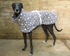 Greyhound / Lurcher / Whippet