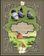 The Visual Guide to the Silver