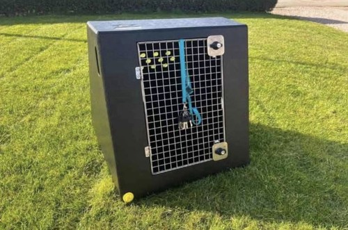 Single box dog - dt,