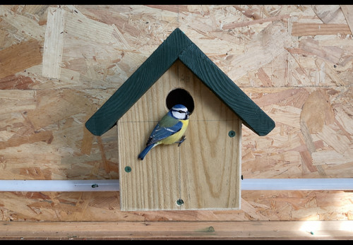 Strong home made bird nesting - strong,